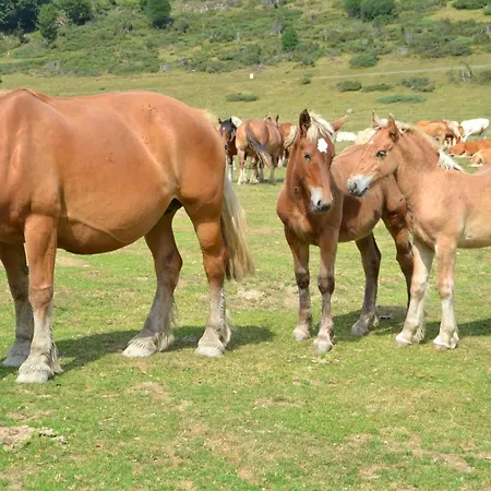Сasa de vacaciones Maison Marguerite *